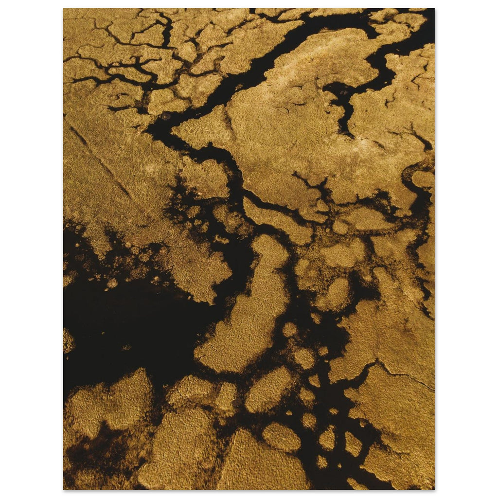 14b5c3d6-44e9-4a05-9835-1981ff065c67