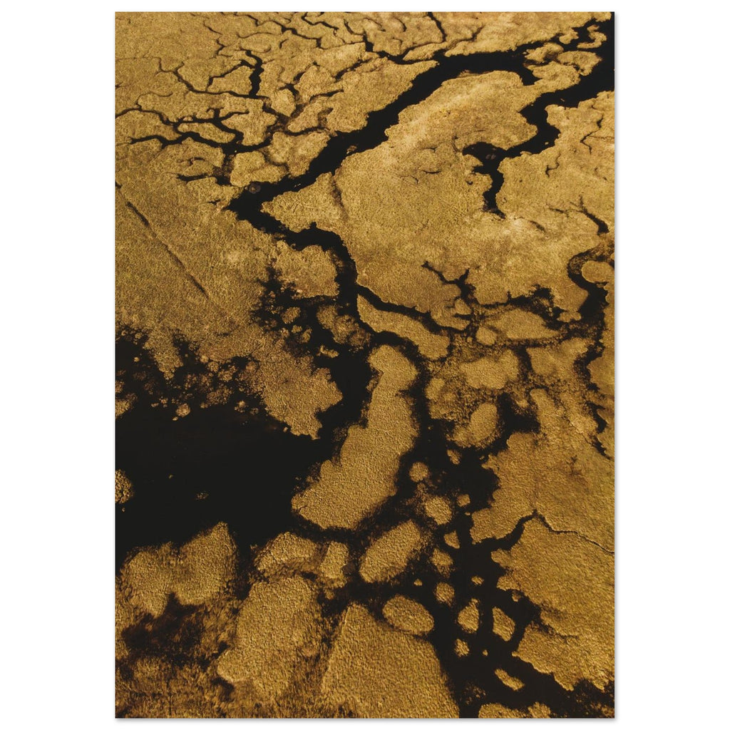 41816f72-2516-4ce4-af08-6144b38a4131