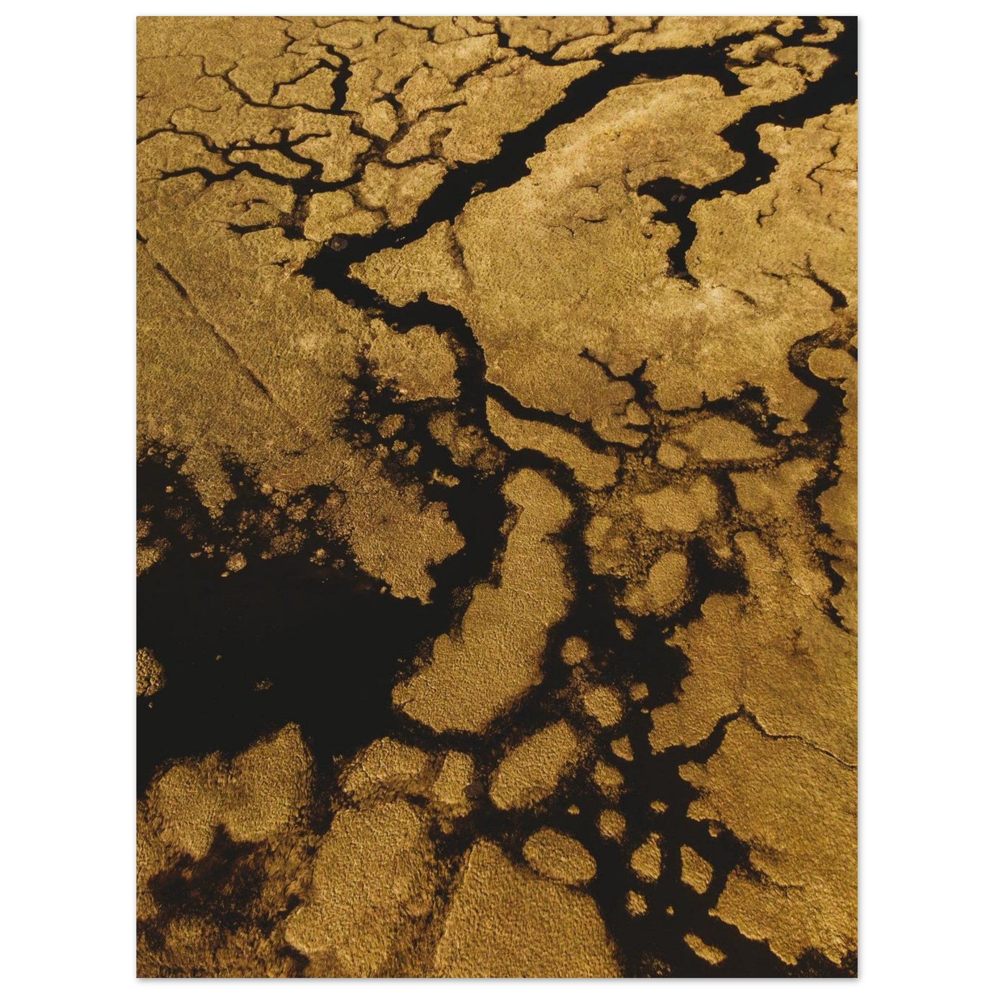 a06b7e71-fd85-4630-9dbf-356ea76c24d2