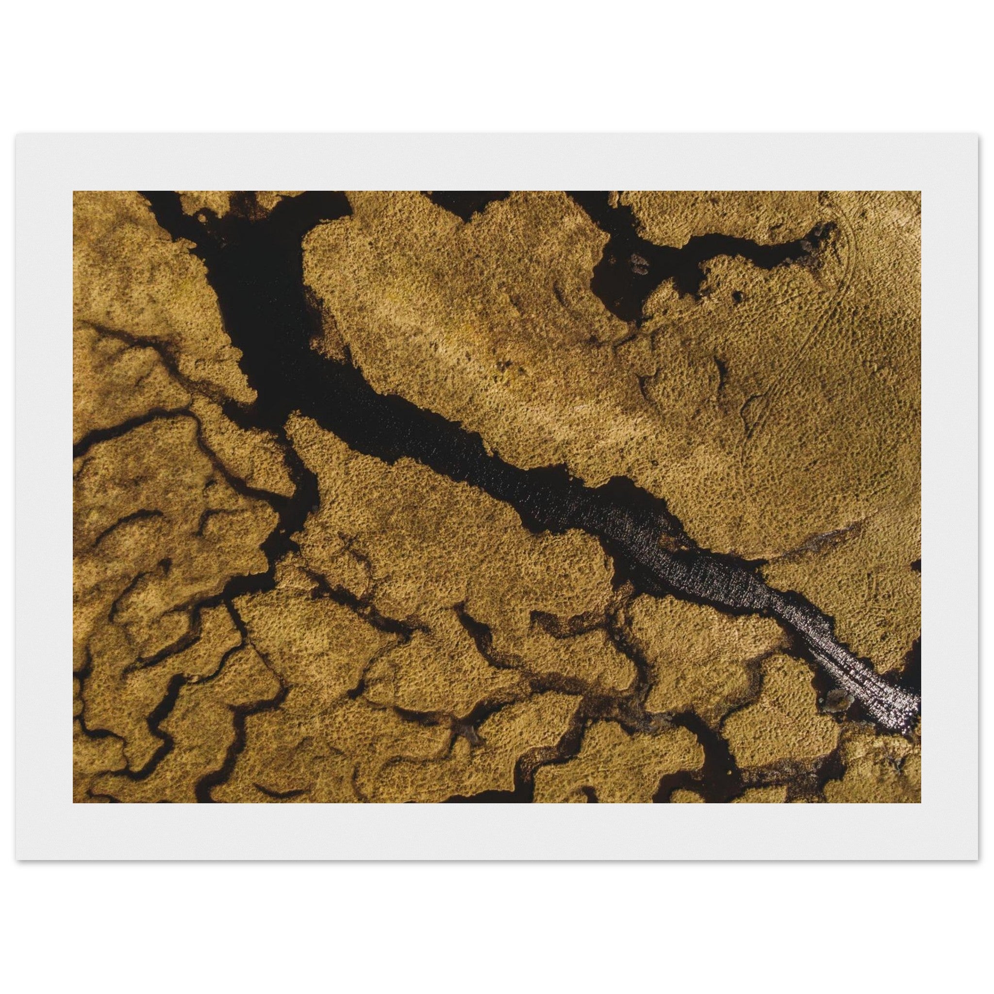 c2d0e2a2-869a-458c-bf00-12fe022675e6